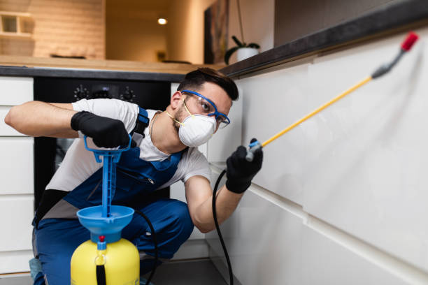 Best Pest Prevention Services  in Kokomo, IN