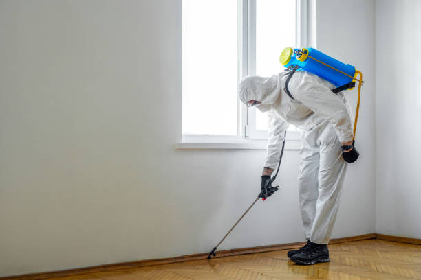 Professional Pest Control in Kokomo, IN