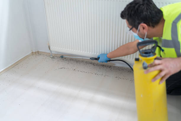 Best Best Pest Control Companies  in Kokomo, IN
